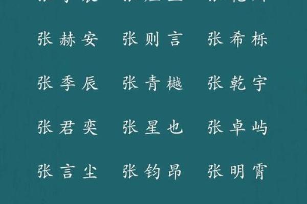 张姓男孩的命运探秘：五行与人生的奥秘