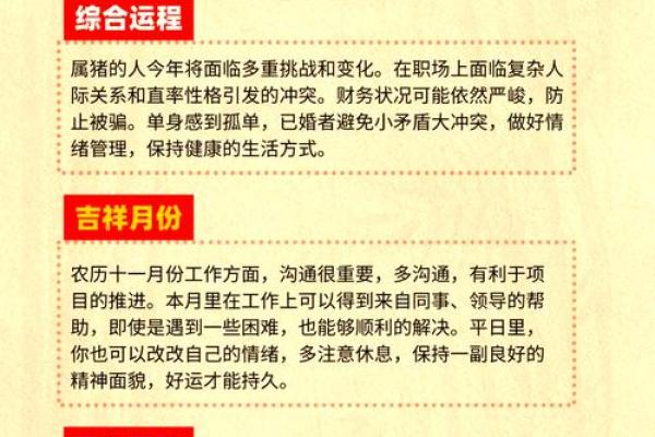 属猪15岁：命运之路的探索与成长