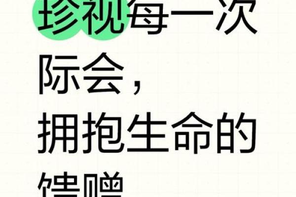 探究“高贵命”的深层意义与人生启示