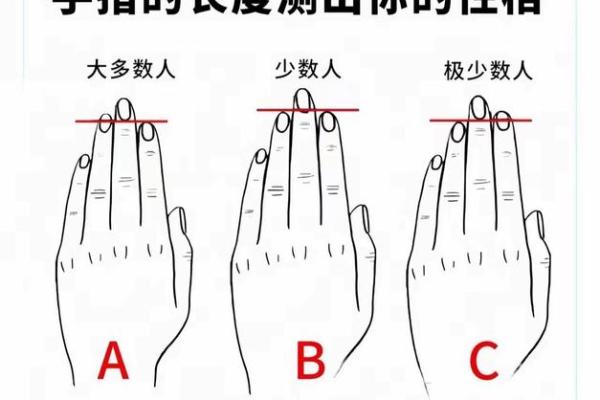 探索大姆指扁长的人生命运与性格特征
