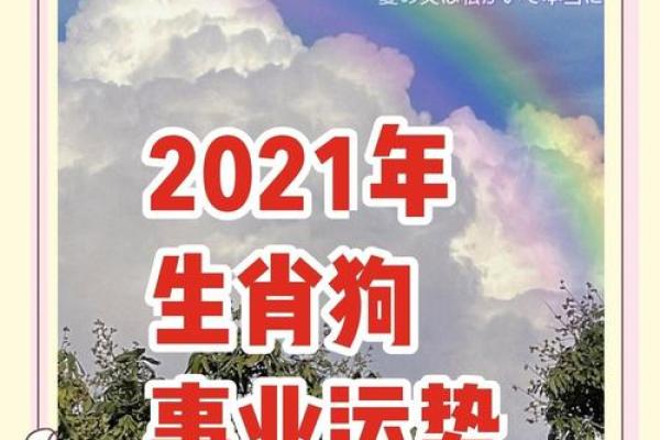 揭开11月属狗男的命运之谜，探索生活与事业的无限可能！