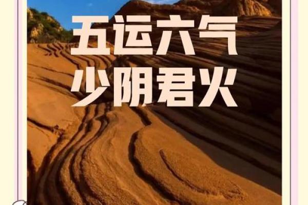 1953年鼠年：命理揭秘与人生智慧探讨