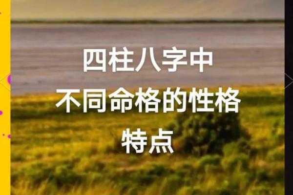 1951年出生的人命格分析：命运与性格的深度剖析