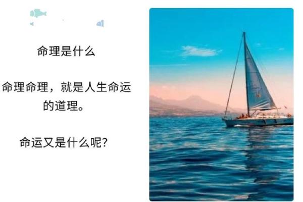 47岁属大龙，揭开命运之谜，探索人生的转折点与机遇！