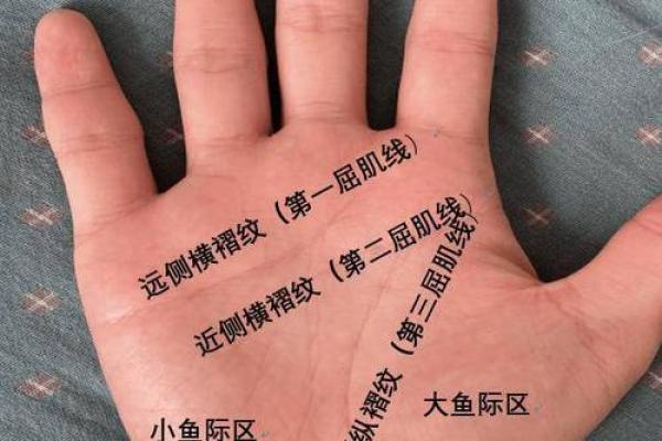 女子断掌命格解析：命运如何与掌纹相连？