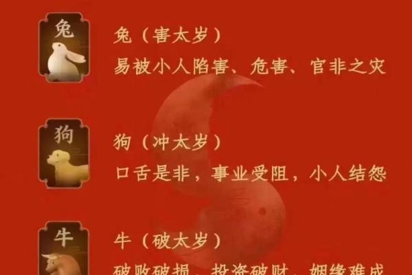 2023年属相与金命的完美结合，影响深远