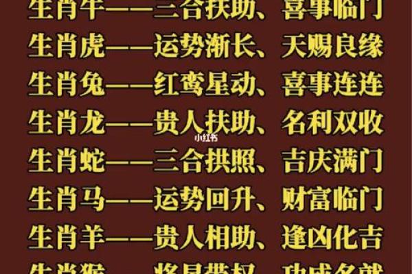 解密2019年鼠年：命理与运势的深度探索