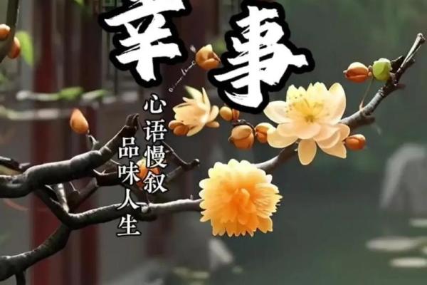探索“什么财什么命”的智慧：走向人生的丰盈与和谐
