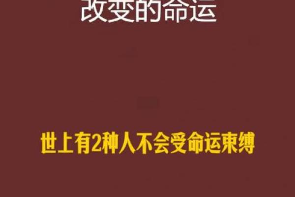 1958年12月出生的人：独特性格与命运轨迹分析
