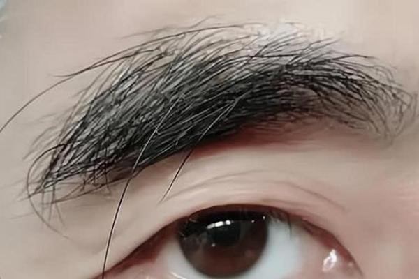 眉毛特别长的命运解析：是福还是禍？