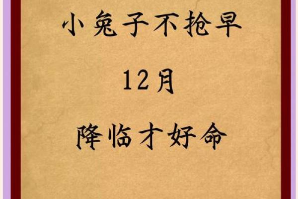 火中兔：探索2023年火兔命人的命运与个性