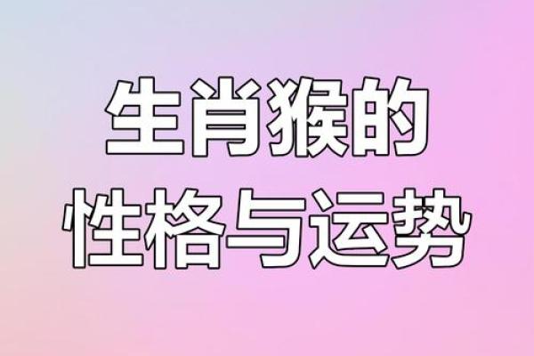 1992年出生的猴子命运解析：一场神秘的动物传奇之旅