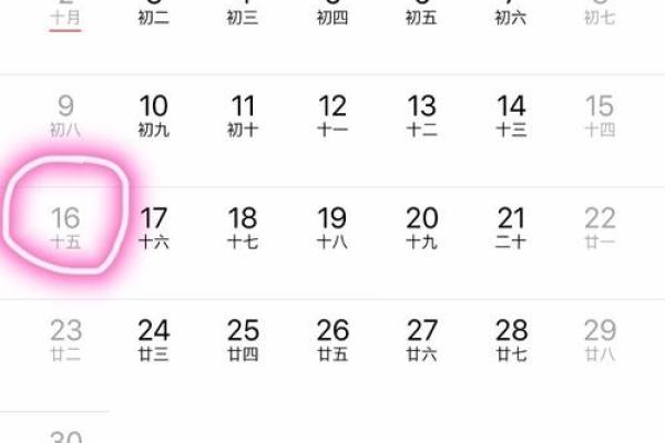 2008年鼠年命格解析：揭示鼠年人的性格与命运