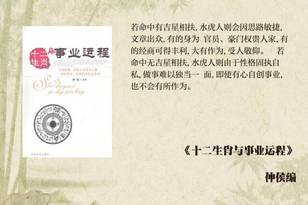 属大龙55岁命运解析：成功的背后与人生的智慧