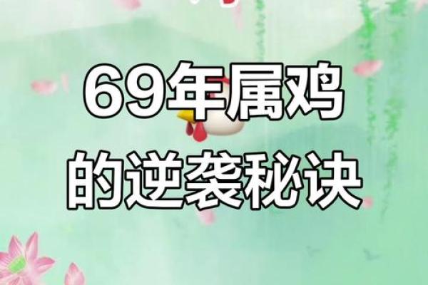 属鸡69年出生的人，命理解析与人生智慧