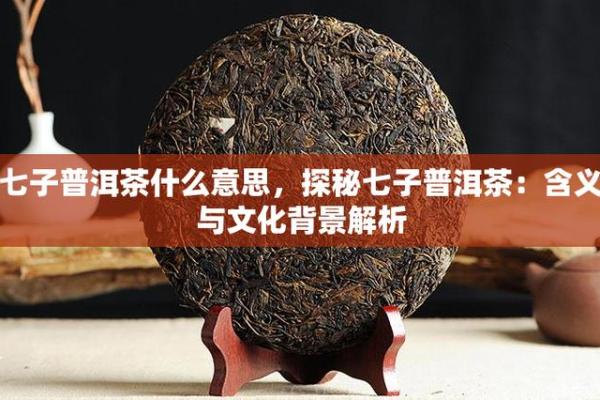 《无命：历史背景与文化探秘》
