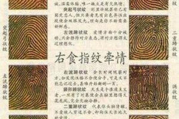 手指敏感的命理解析：你了解自己的命运吗？