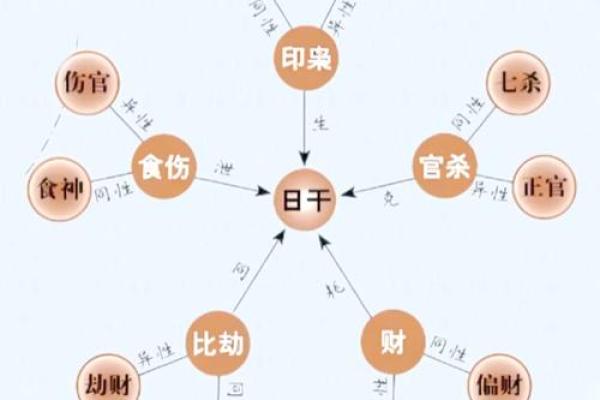 命运的密码：揭示算命术中的关键内容与解析