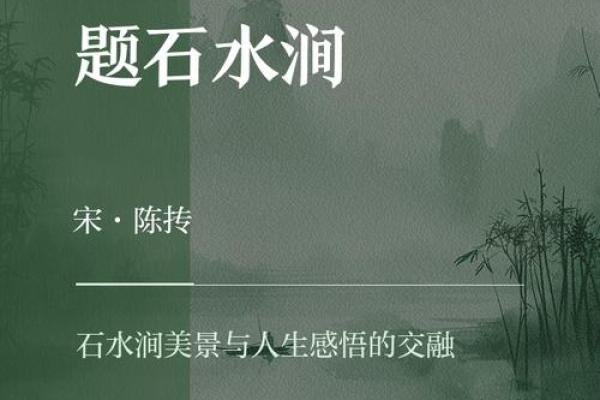 探寻山涧水命：自然灵性中的水元素之美