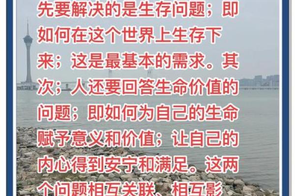 1978年正月二十的命运探索：寻找生活的意义与启示
