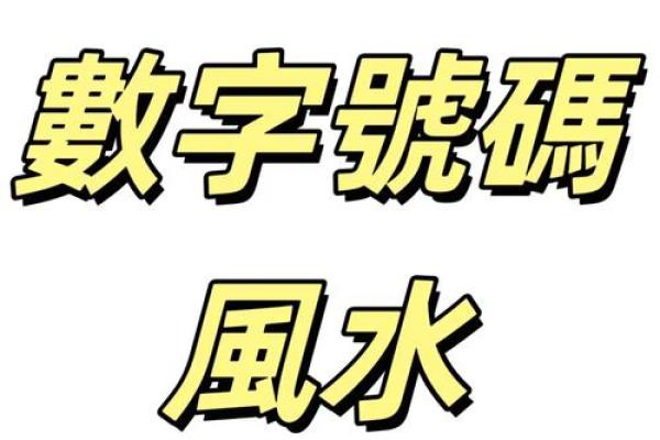2013年：数字背后的神秘属性与命运解析