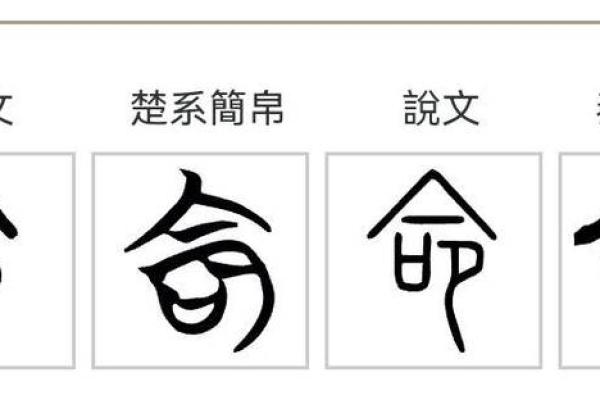 探寻牙齿西的命格：揭示不同牙齿特点背后的命运玄学