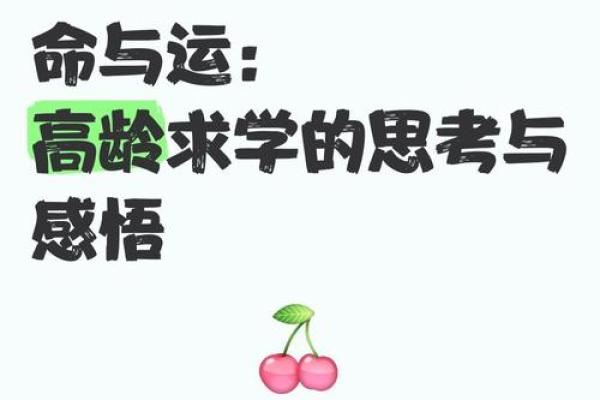 命运交错：一条命换四条命的深刻思考