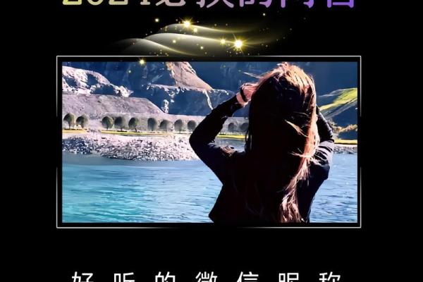 木命人适合的优雅网名推荐与解析