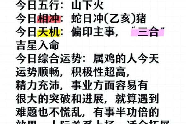 93属鸡人的命运与个性解析：揭示生活中的精彩与挑战