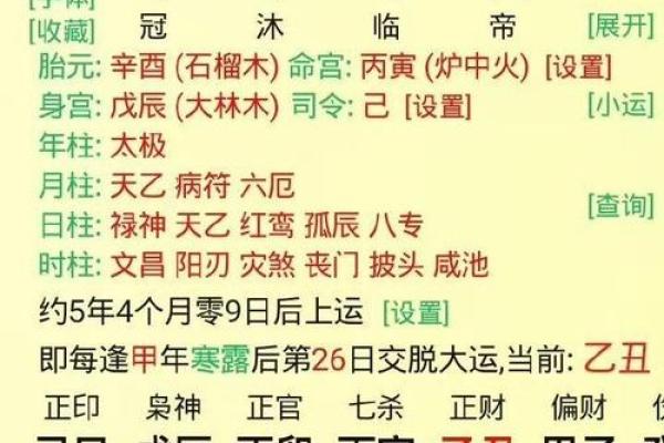 丙辰丁卯命格解析：探索不同命格的吉凶与生活之道