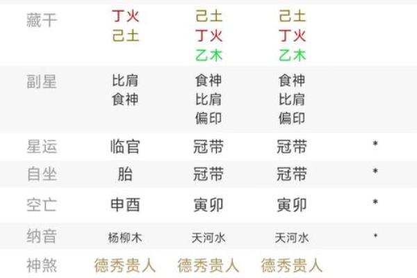 丙辰丁卯命格解析：探索不同命格的吉凶与生活之道