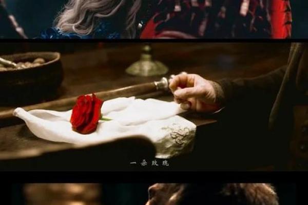 探秘“网红一命换一命”的背后故事与启示