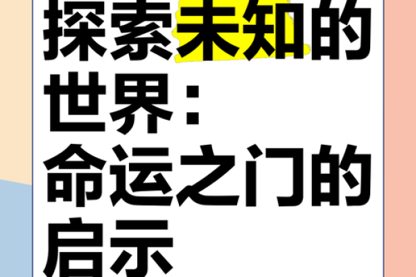 2020年12月的命运之旅：探索与启示