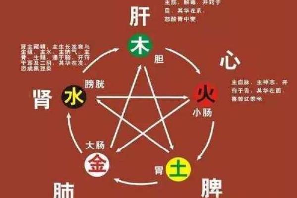 探索日本流行命理：解密命运与人生的奥秘