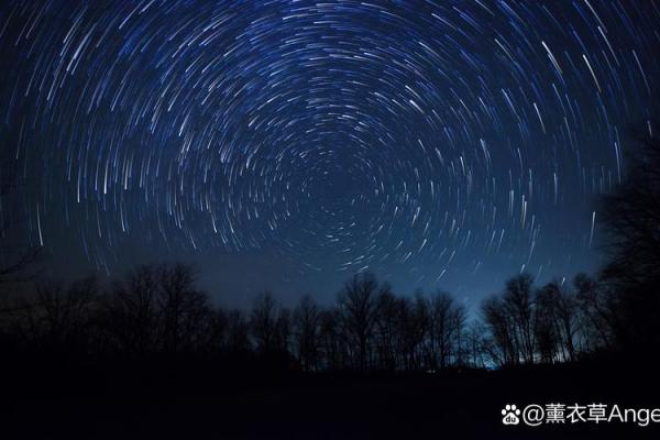 2002年11月的命运之旅：当星星指引前行的方向