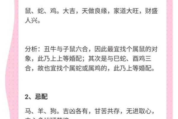 属牛月出生的命运分析：细腻如牛，稳重踏实的生活选择