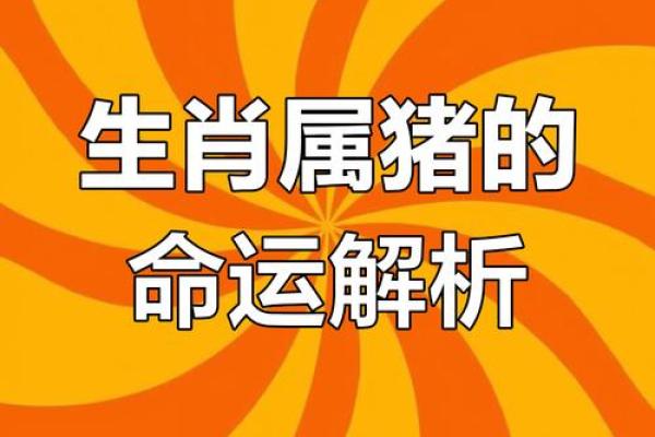 61虚岁属猪的命运解析：生活智慧与运势揭秘