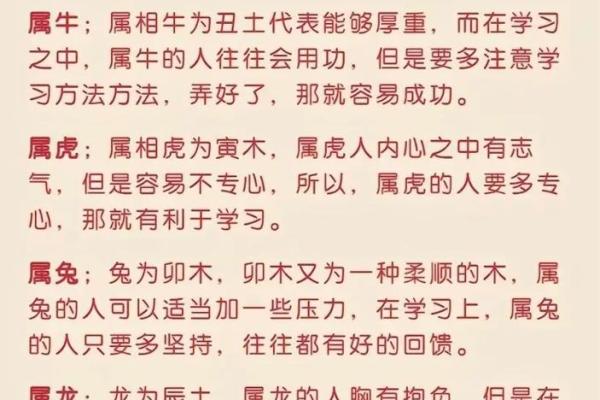 兔年命理解析：2023年的兔子带来怎样的运势与机遇？