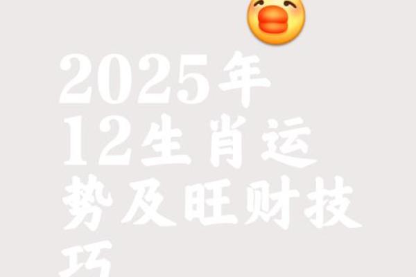 水鼠命的人生优势与好运秘籍，开创幸福未来！