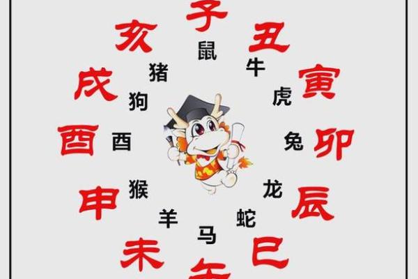 揭秘己命：生肖与命理的奥秘探索
