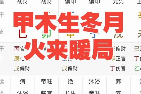 2008年冬月是什么命？揭秘八字背后的神秘力量！