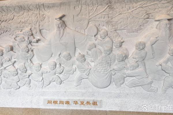 甲辰年生人命运分析：探寻命理奥秘与人生旅程