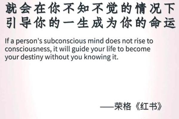 命字的深意：探寻生命的奥秘与价值