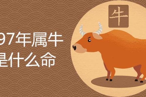 探秘1993年出生者：命与属性的深度解析