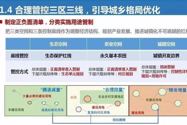 探索“规画之命”：理解生活中的规划与意愿