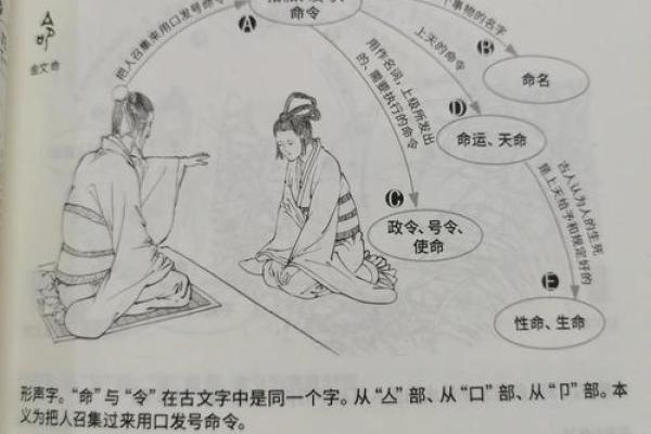 探索“规画之命”：理解生活中的规划与意愿