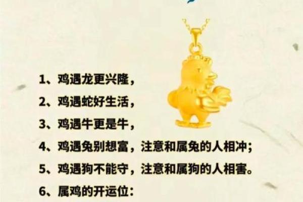 属鸡1993年八字解读与命理分析