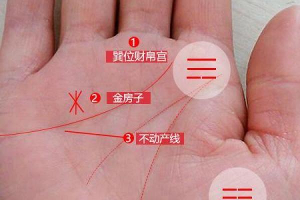 揭秘手相与富贵命的千丝万缕，找到你的财富密码！