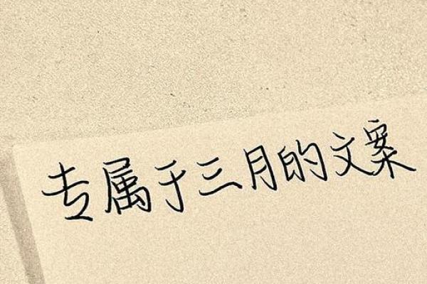 山头火命：追寻人生的光与热，找到最适合的生活方式！