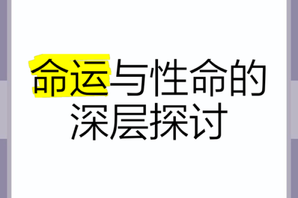 探索“休命”的深意与内涵——人生与命运的交流之道